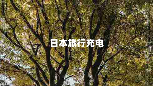 日本旅行充電