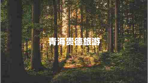 青海貴德旅游