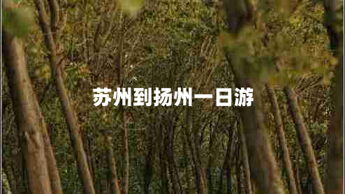 蘇州到揚州一日游