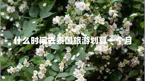 什么時(shí)間去泰國旅游劃算一個(gè)月