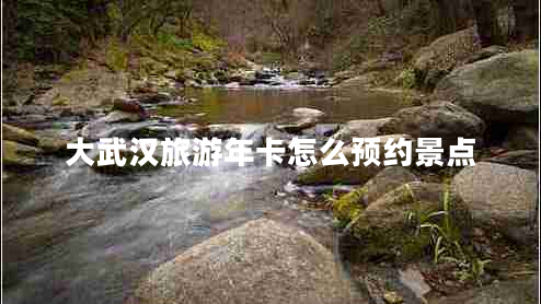 大武漢旅游年卡怎么預約景點(diǎn)