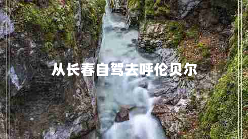 從長(cháng)春自駕去呼倫貝爾