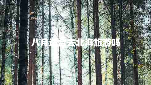 八月適合去北海旅游嗎