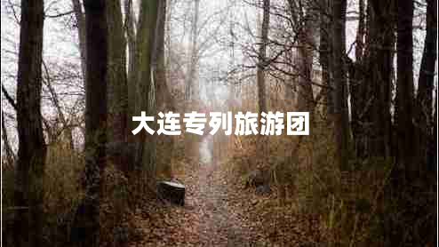大連專(zhuān)列旅游團
