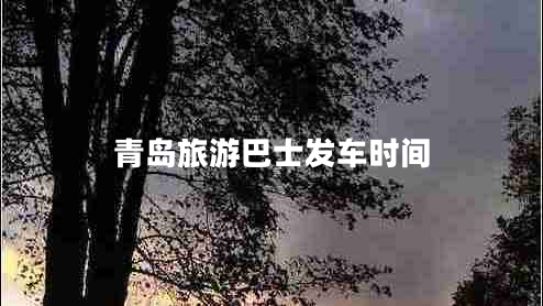 青島旅游巴士發(fā)車(chē)時(shí)間