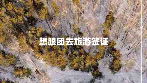 想跟團去旅游簽證
