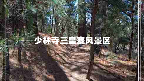 少林寺三皇寨風(fēng)景區