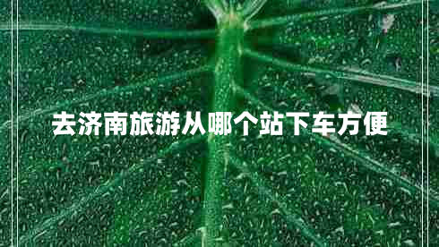 去濟南旅游從哪個(gè)站下車(chē)方便