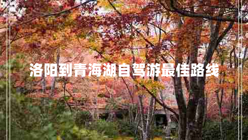 洛陽(yáng)到青海湖自駕游最佳路線(xiàn)