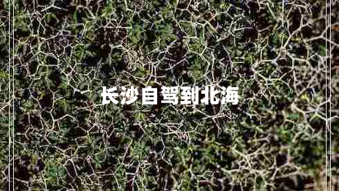 長(cháng)沙自駕到北海