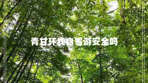 青甘環(huán)線(xiàn)自駕游安全嗎