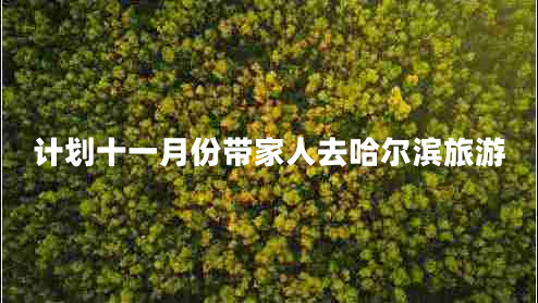 計劃十一月份帶家人去哈爾濱旅游
