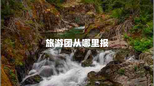 旅游團從哪里報