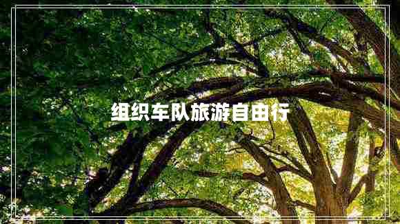 組織車(chē)隊旅游自由行