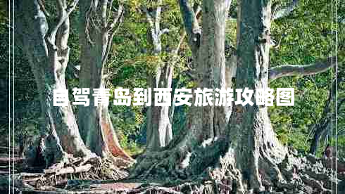 自駕青島到西安旅游攻略圖