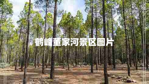 鶴峰董家河景區圖片
