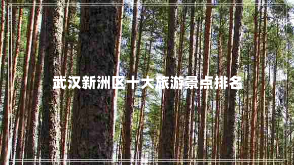 武漢新洲區十大旅游景點(diǎn)排名