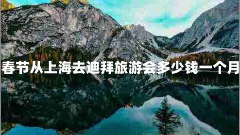 春節從上海去迪拜旅游會(huì )多少錢(qián)一個(gè)月