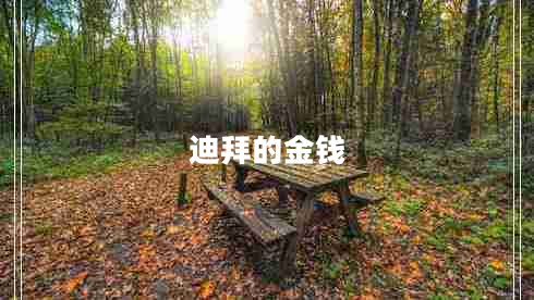 迪拜的金錢(qián)