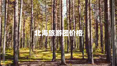 北海旅游團價(jià)格