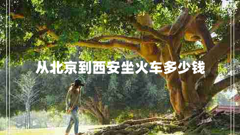 從北京到西安坐火車(chē)多少錢(qián)