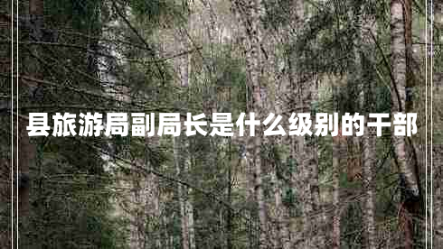 縣旅游局副局長(cháng)是什么級別的干部