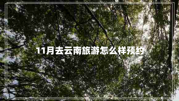 11月去云南旅游怎么樣預約