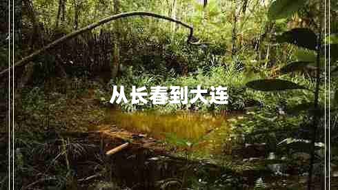 從長(cháng)春到大連