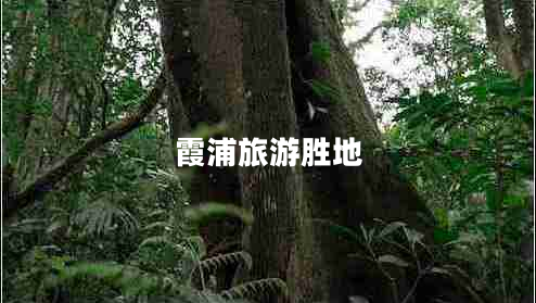 霞浦旅游勝地
