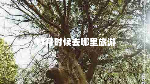 11月時(shí)候去哪里旅游