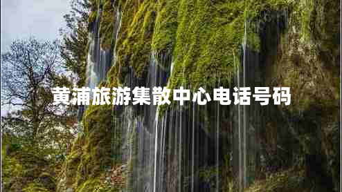 黃浦旅游集散中心電話(huà)號碼