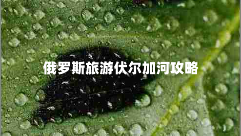 俄羅斯旅游伏爾加河攻略