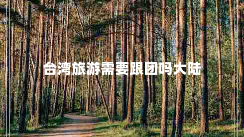 臺灣旅游需要跟團嗎大陸