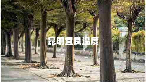 昆明宜良溫度