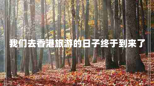 我們去香港旅游的日子終于到來(lái)了