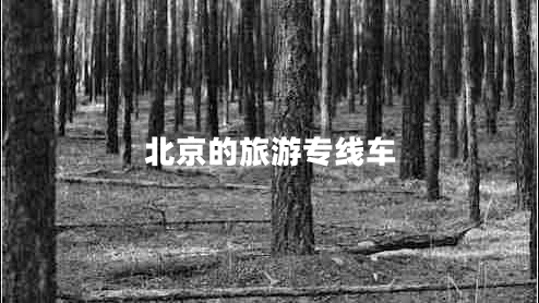 北京的旅游專(zhuān)線(xiàn)車(chē)