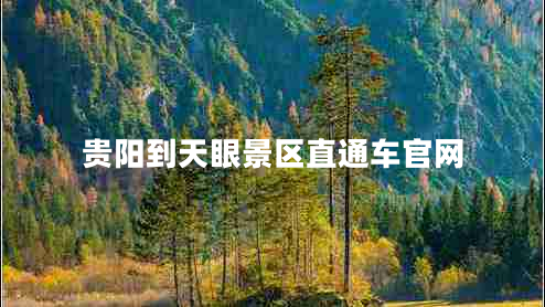 貴陽(yáng)到天眼景區直通車(chē)官網(wǎng)