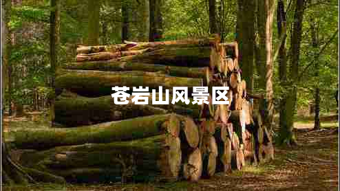 蒼巖山風(fēng)景區