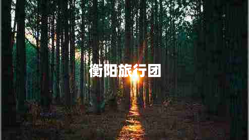 衡陽(yáng)旅行團