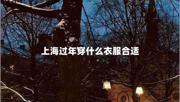 上海過(guò)年穿什么衣服合適