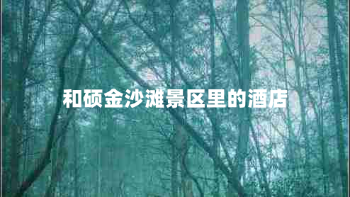 和碩金沙灘景區里的酒店