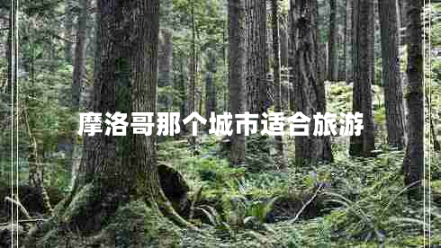 摩洛哥那個(gè)城市適合旅游