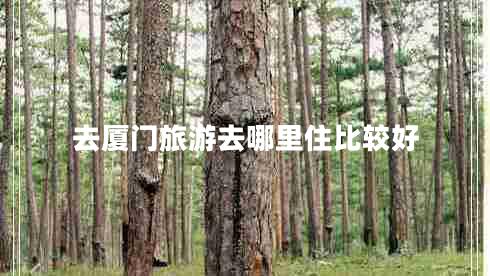 去廈門(mén)旅游去哪里住比較好