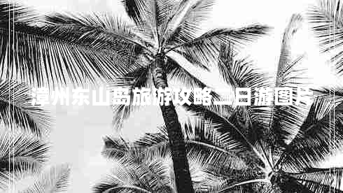 漳州東山島旅游攻略二日游圖片
