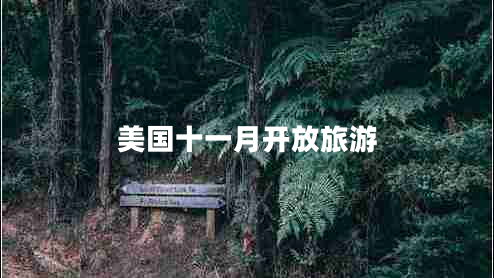 美國十一月開(kāi)放旅游