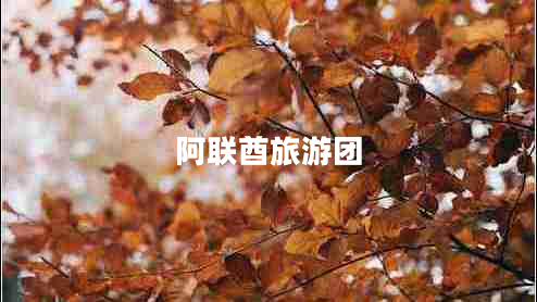 阿聯(lián)酋旅游團
