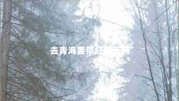去青海要帶紅景天嗎