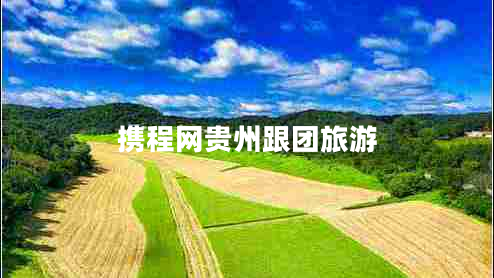 攜程網(wǎng)貴州跟團旅游