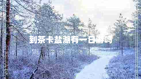 到茶卡鹽湖有一日游嗎