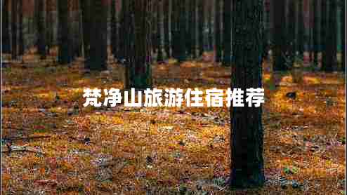 梵凈山旅游住宿推薦